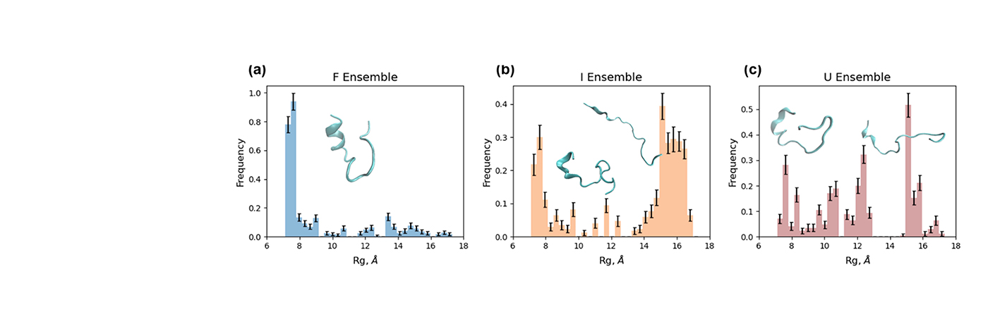 Revealing heterogeneous protein folding dynamics