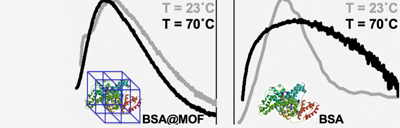 Two graphs showing a folded protein structure (made of curled blue, green and red strips) on the left and an unfolded structure on the right. 