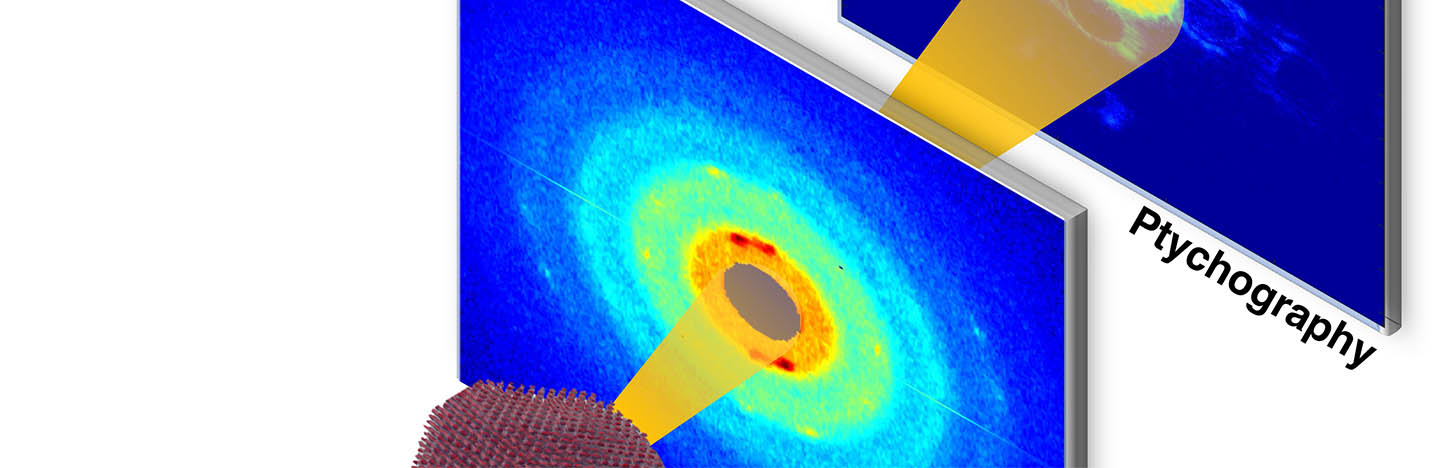A graphic representation of X-rays striking a sample and scattering off into detectors, which display data.
