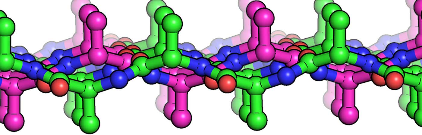 Two sets of colored graphics, one showing a singe peptide and the second showing two interleaved peptides.