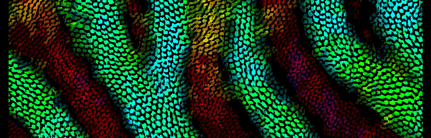 A series of wavy colored patterns denoting fluid flow patterns. 