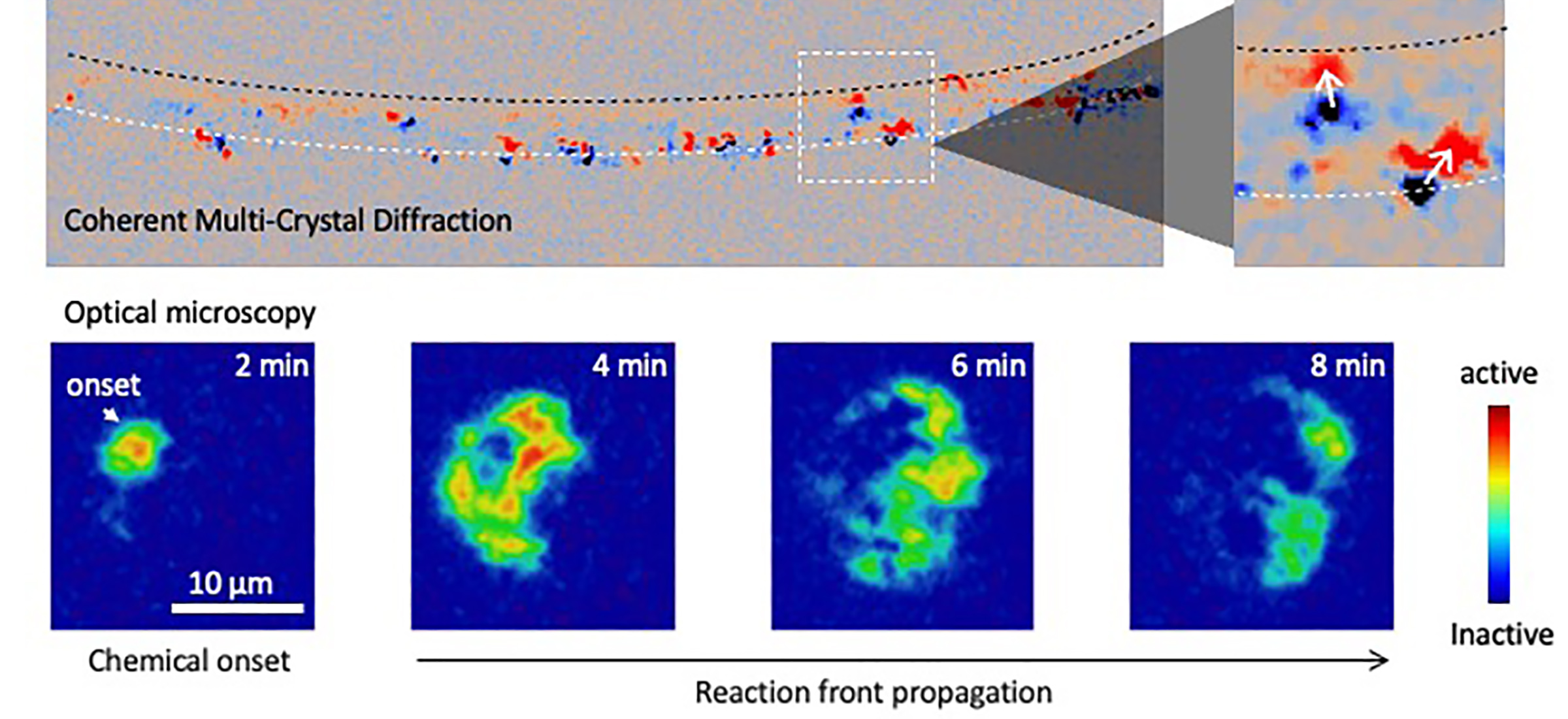 Graphics showing coherent multi-crystal diffraction as a series of colored dots on a curved line and optical microscopy data as colored shapes on blue backgrounds.