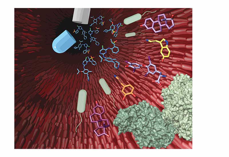 A detailed illustration of drug capsules affecting gut microbial enzymes.