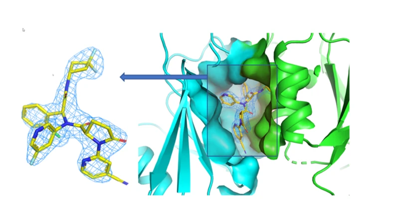 Image of an X-ray structure of Ivosidenib and a protein.