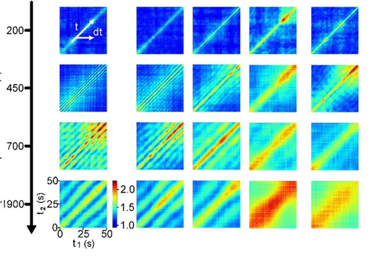 Colorful diagrams and graphs showing scientific data and images. 
