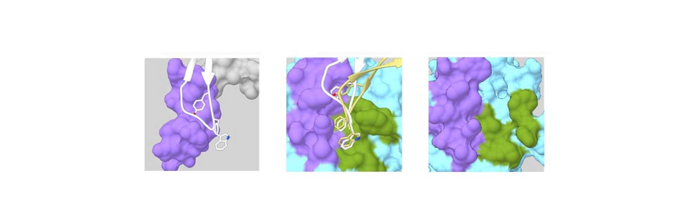 A series of X-ray structures showing data taken during the experiment.