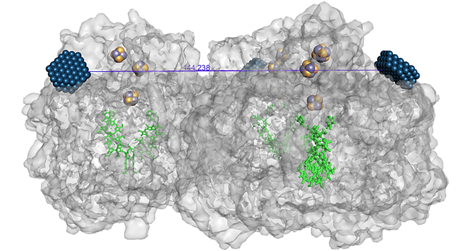 A graphical representation of a protein structure with colored areas representing nanoparticles. 