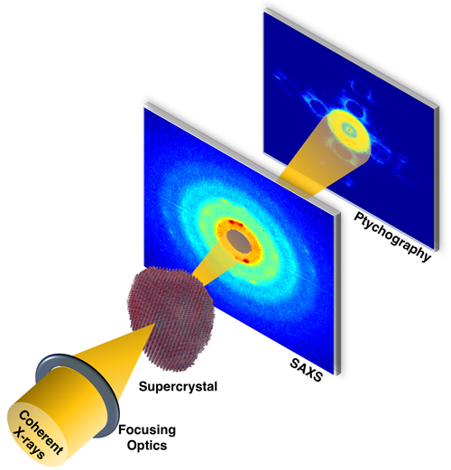 A graphic representation of X-rays striking a sample and scattering off into detectors, which display data.