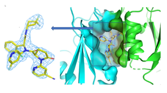 Image of an X-ray structure of Ivosidenib and a protein.