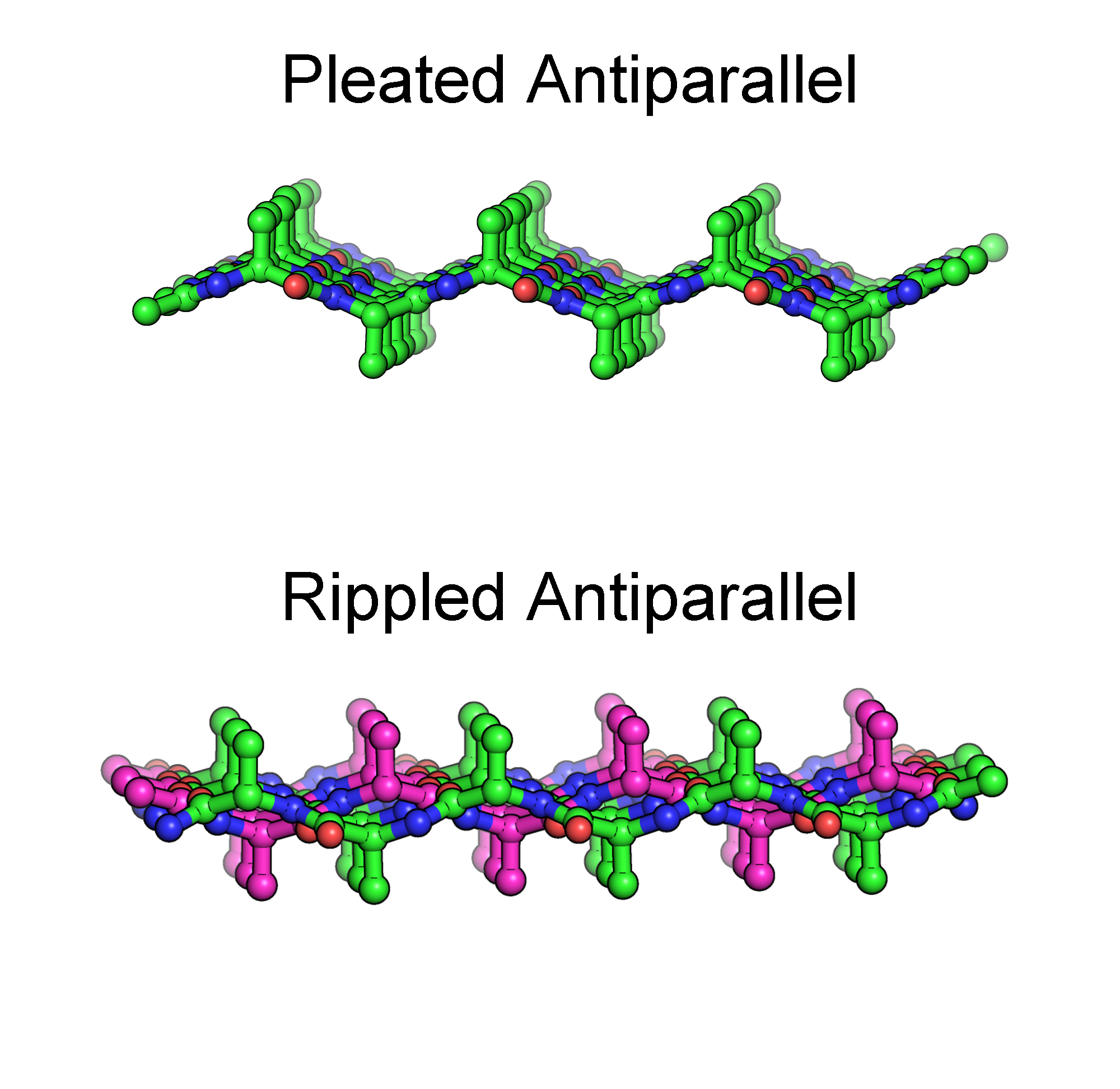 Two sets of colored graphics, one showing a singe peptide and the second showing two interleaved peptides.