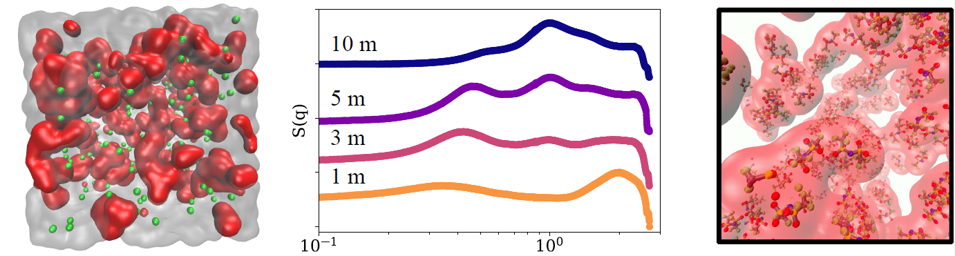 Three squares showing diagrams of red electrolytes and multicolored data lines.