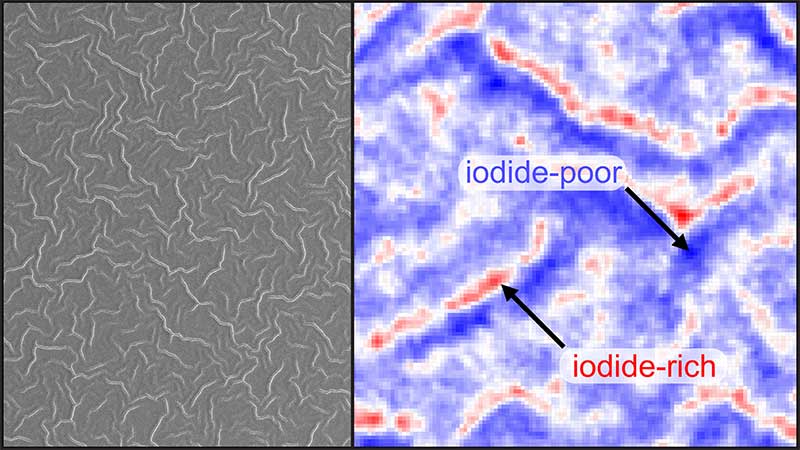 Two images of data visualization. On the left, a gray image with contours, and on the right, a blue fluorescence map with colored lines signifying chemical deposits.