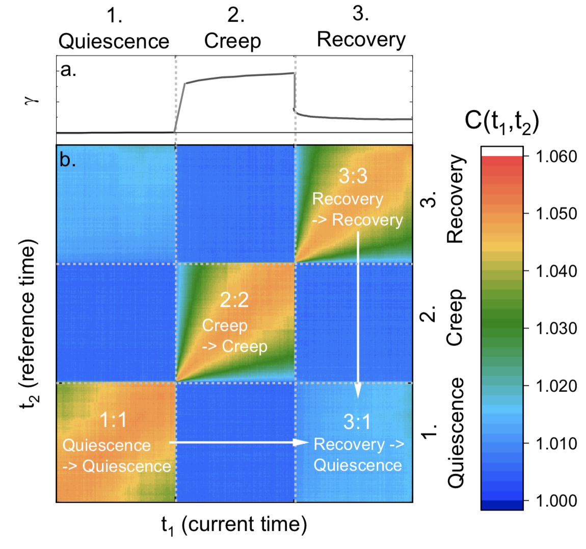 Two-time correlation plot from the stress (or “creep”)/recovery test. These plots act as a map of the correlations of the scattering X-ray patterns between each pair of measurement times (t1 and t2). The minimum possible correlation is one, which indicates negligible similarity in the scattering pattern. The fact that the correlation between quiescence and recovery (bottom right quadrant) is significantly greater than one reflects the complex dependence on shear history following creep that extends to the structural memory and nanoscale dynamics of the material. 