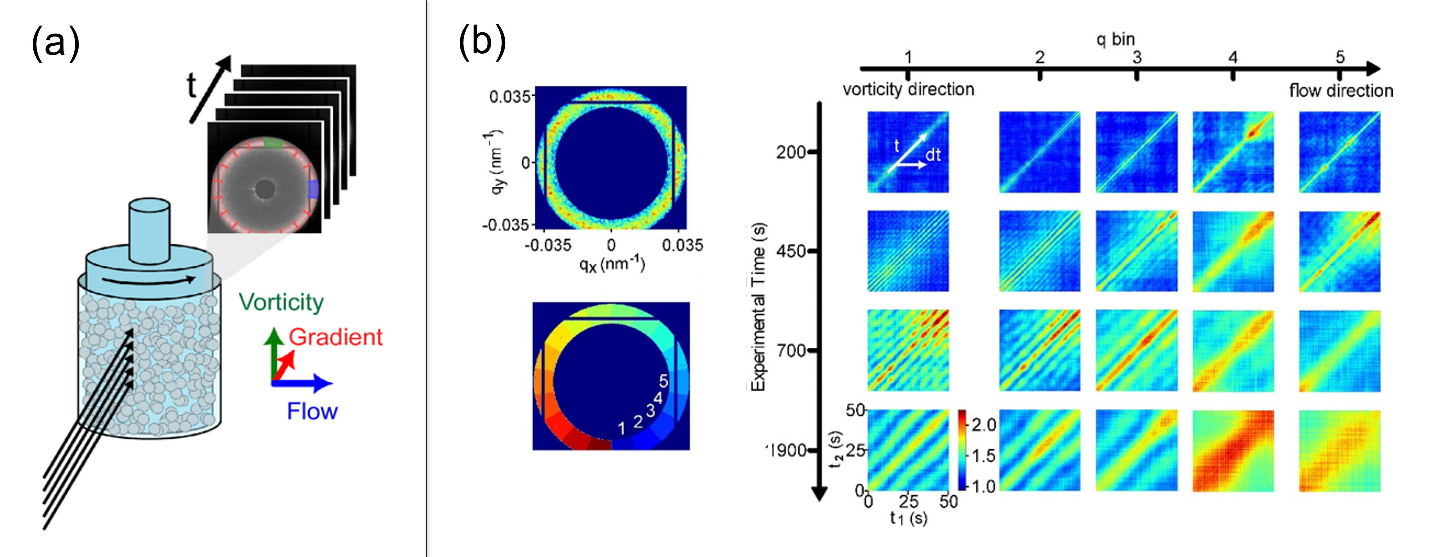 Colorful diagrams and graphs showing scientific data and images. 