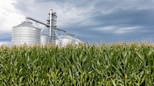 A metal grain storage facility rises above a field of corn.