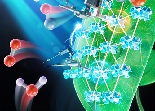 artificial photosynthesis