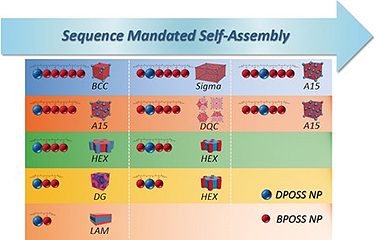 Hierarchical Self-Organization of ABn Dendron-like Molecules into a Supramolecular Lattice Sequence