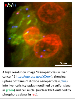 Nanoparticles in liver