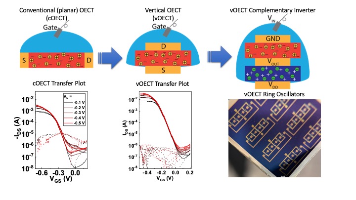 (Top) Schematic of conventional and vertical OECT devices and a vertical OECT inverter. (Bottom) Comparison between the performance of a conventional OECT with a vertical OECT having the same semiconductor, showing far greater performance for the vOECT, and a photo of a v-OECT complementary ring oscillator.  